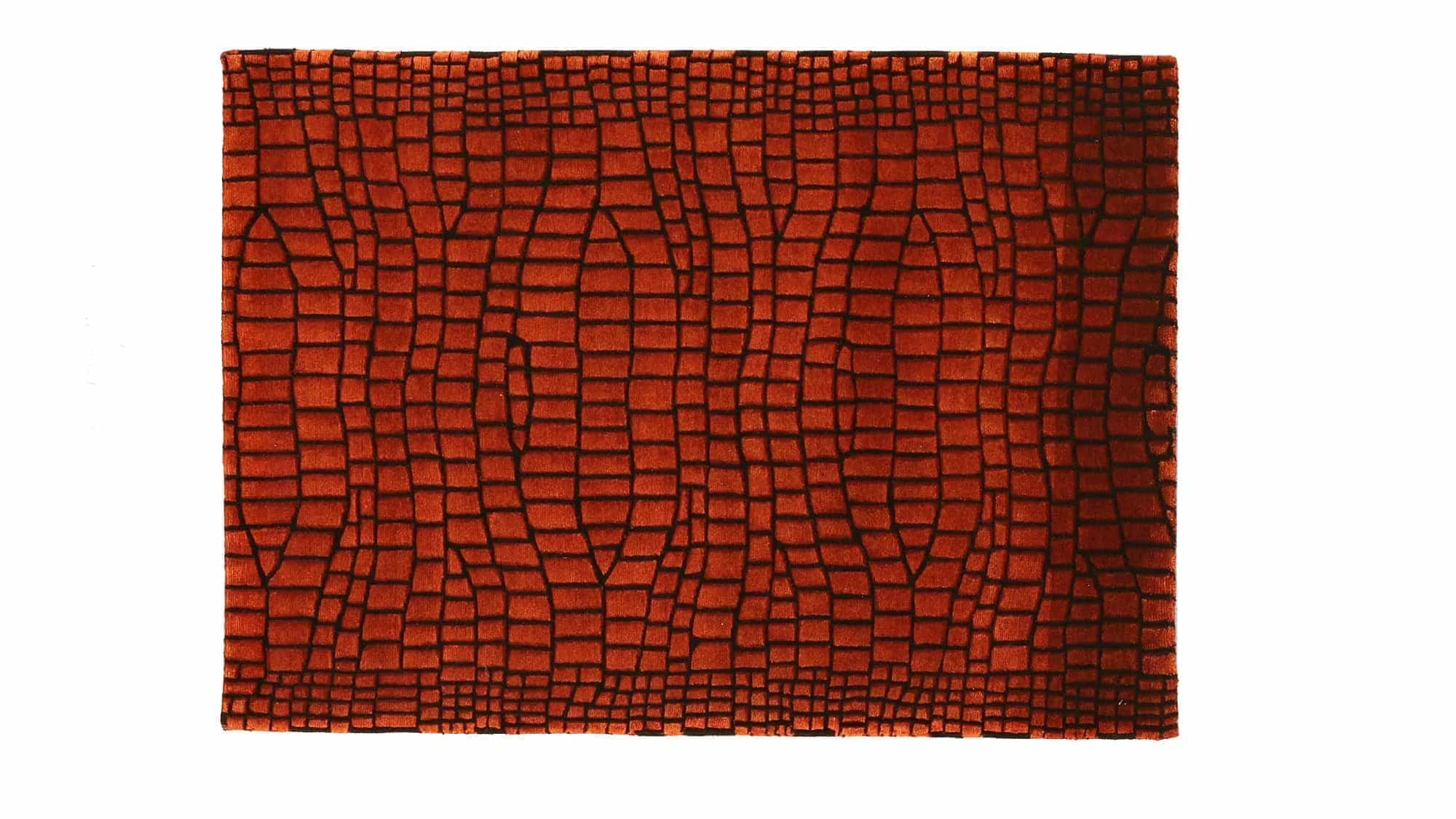 The Crocco - Image 4